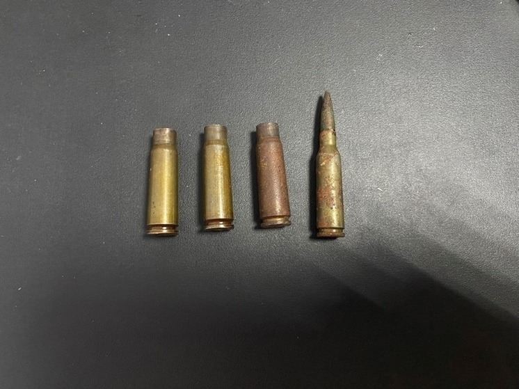 У жителя Калмыкии обнаружили боевые патроны