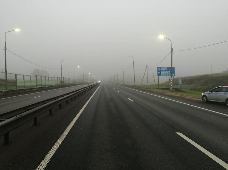 Под Ярцево на трассе М-1 фура налетела на препятствие