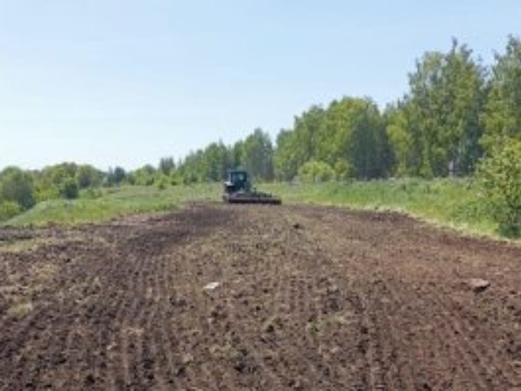 В Орловской области на землях сельхозназначения нашли 15 свалок