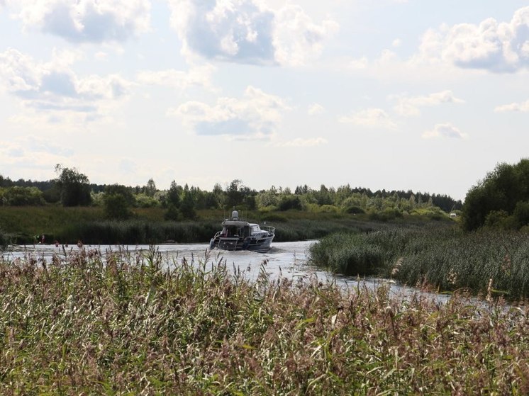 На реке Оредеж женщина погибла под винтами моторной лодки