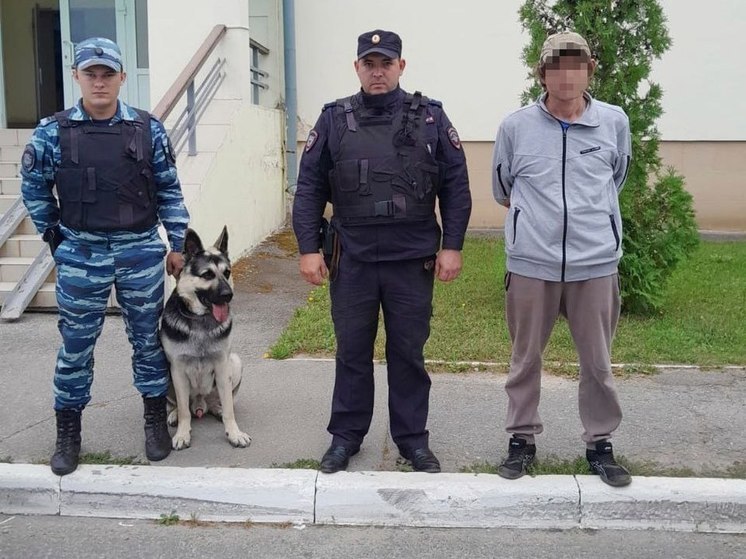 На улице Новосёлов в Рязани задержали находящегося в розыске мужчину