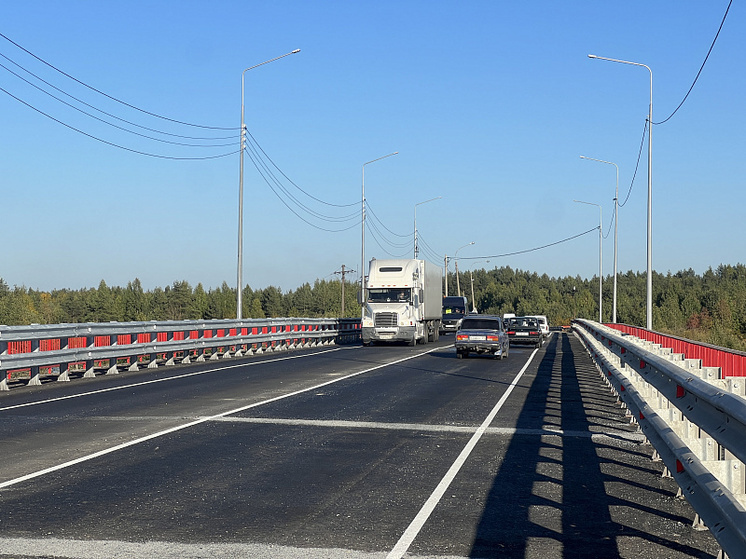 В Приморском округе открыли рабочее движение по двум полосам путепровода через жд-пути у станции Исакогорка