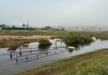 «Росводресурсы» поддержали предложения правительства Забайкальского края по финансированию строительства трех дамб и расчистке русла реки