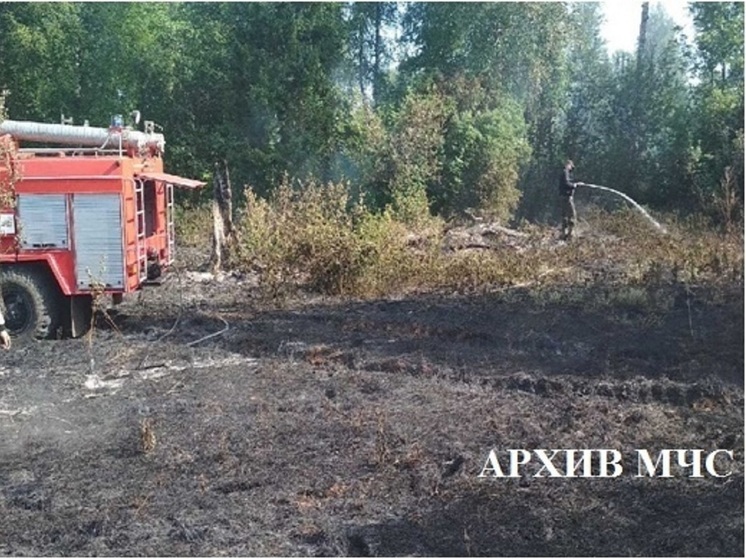 Лесной пожар тушат в Нейском районе Костромской области