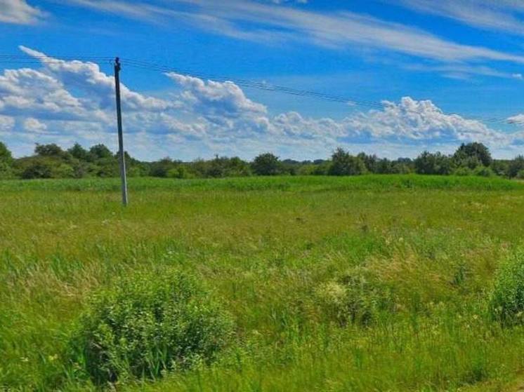 Подмосковной компании разрешили строительство крематория в 12 км от Калининграда