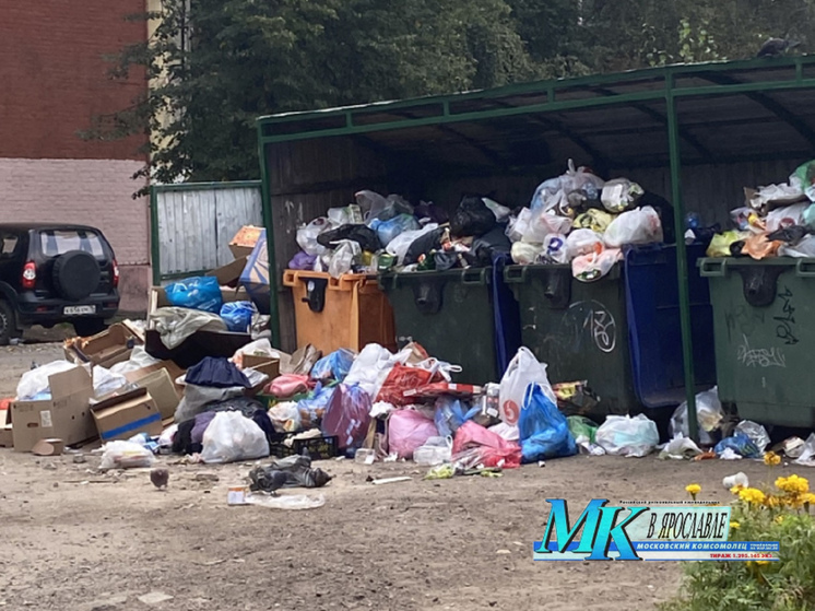 В центре Ярославля начались мусорные проблемы