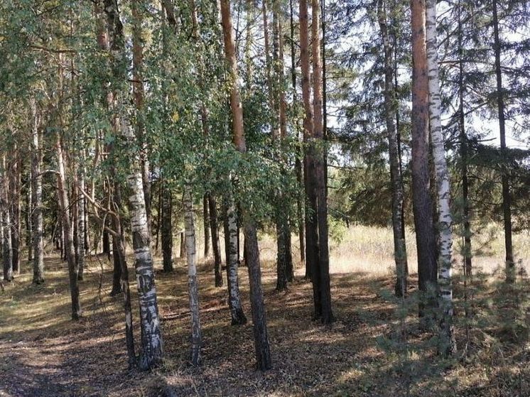 До 13 сентября продлили 4 класс пожарной опасности