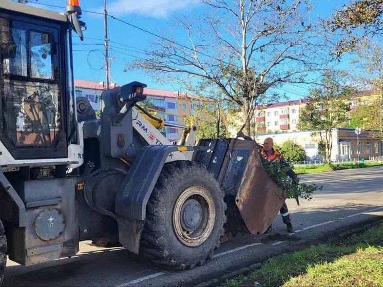 В Углегорске ураган повалил деревья возле музея и библиотеки