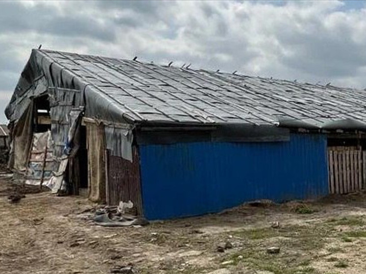 Рязанца осудили за организацию незаконной миграции
