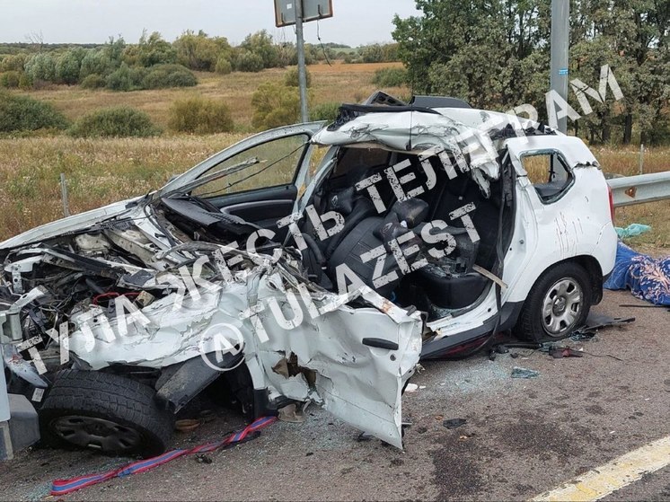 Соцсети: водитель легковушки погиб в ДТП на трассе в Тульской области