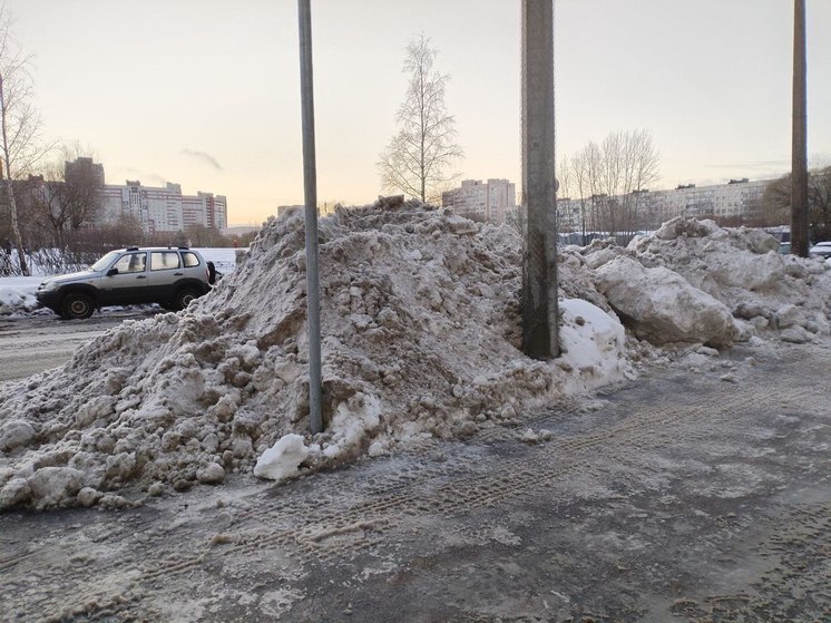 В Великом Новгороде новая уборочная техника будет сметать снег быстрее