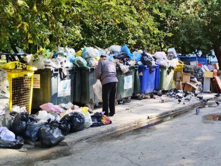 В Новосибирске прокомментировали проблему с вывозом мусора в нескольких районах города