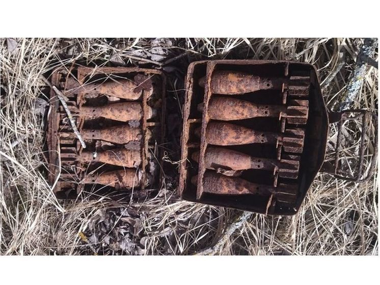 В деревне под Ельней нашли семь минометных мин времен войны