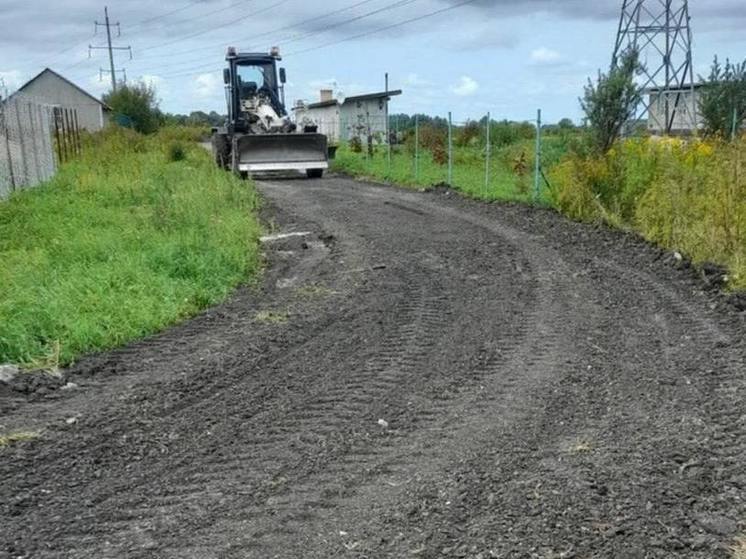 В Зеленоградском районе земли под огородничество исключат из зоны застройки