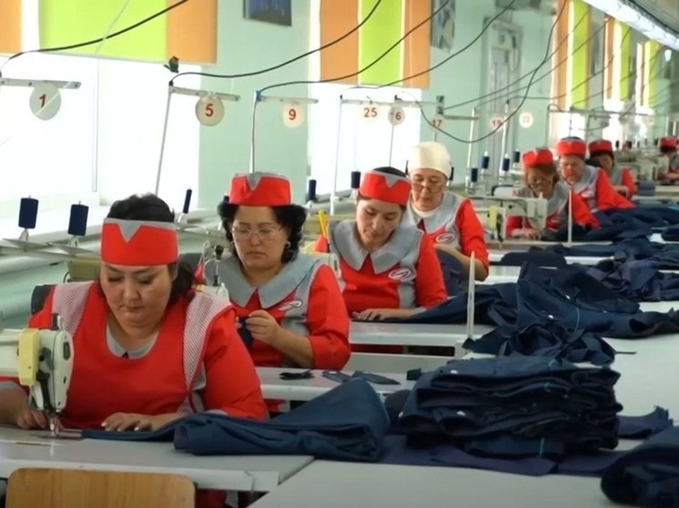 В Новгородской области могут открыть филиал казахстанской швейной фабрики