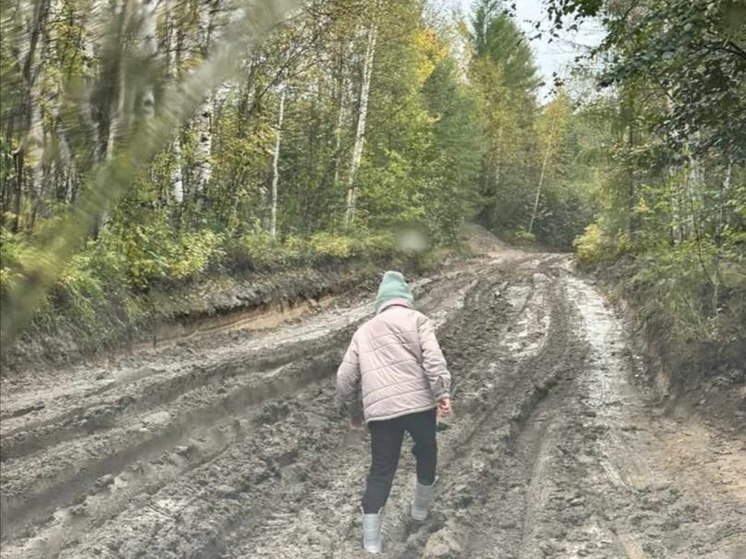 Детей перевели на дистанционку из-за состояния дорог на севере области