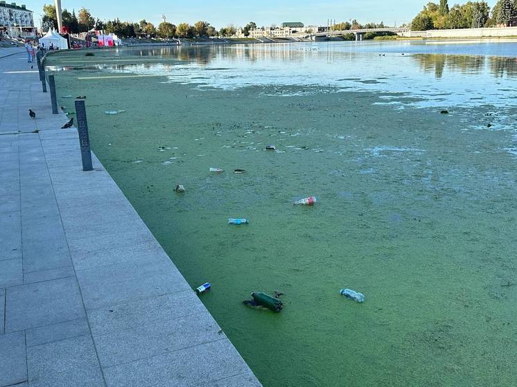 Пензенцев пригласили принять участие в очистке набережной Суры от мусора