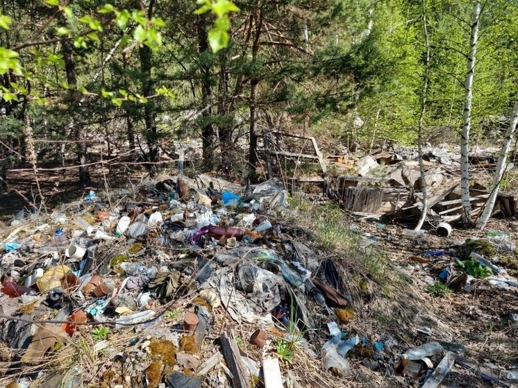 Нижегородский Росприроднадзор проверил опасную свалку в поселке Пыра