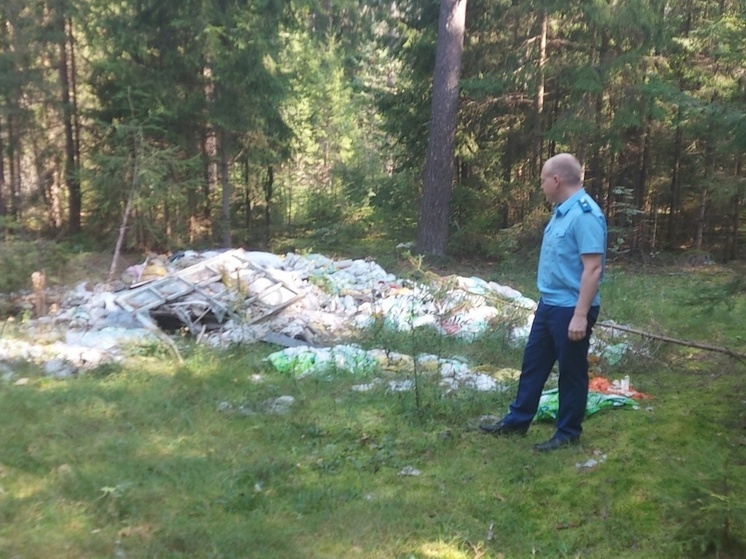 Во Владимирской области прокуратура обязала региональное министерство убрать свалку