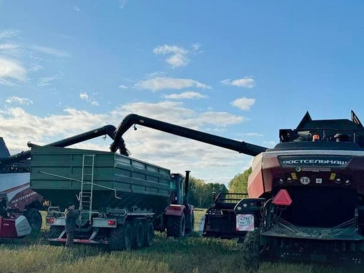 В Томской области собрали половину урожая пшеницы