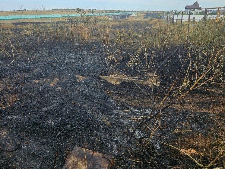 В Советском районе Волгограда тушат ландшафтный пожар