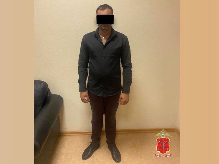 В Колпино поймали афериста, навязавшего пенсионеру одеяло и подушки за 90 тысяч