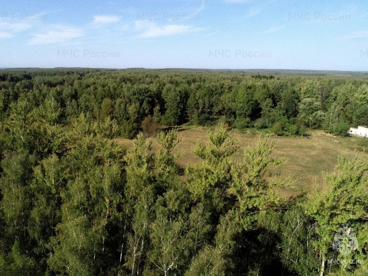 Аномальная жара в Тульской области продержится до следующей недели