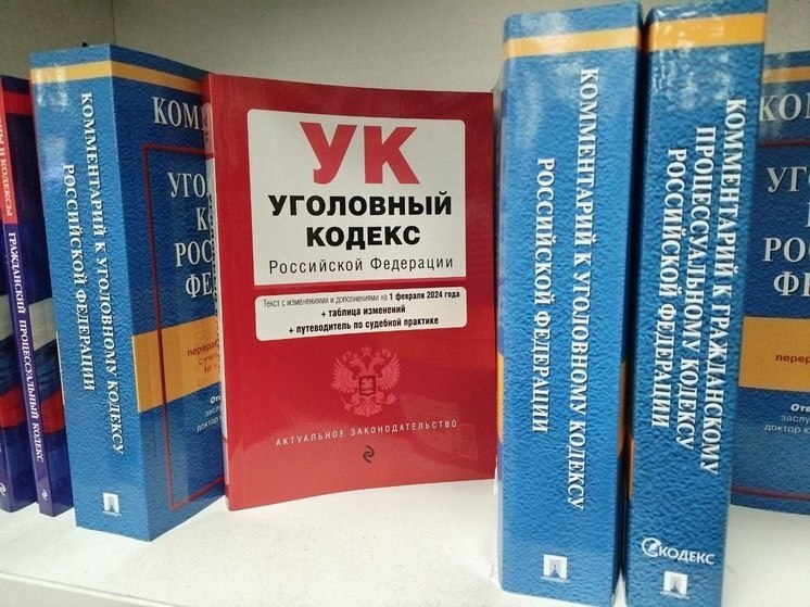 Юную северянку будут судить за покупку наркотиков