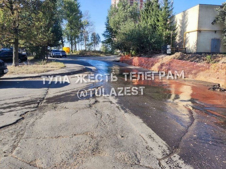 На улице Маргелова в Туле разлились сточные воды
