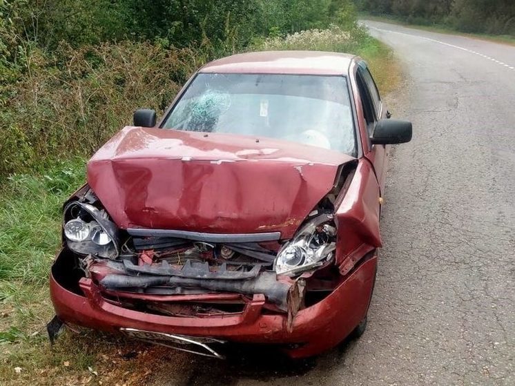 В ДТП в Сараевском районе пострадал водитель Renault