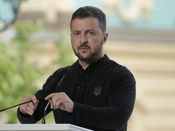 Боуз: план Зеленского предполагает проигрыш для втягивания Запада в войну