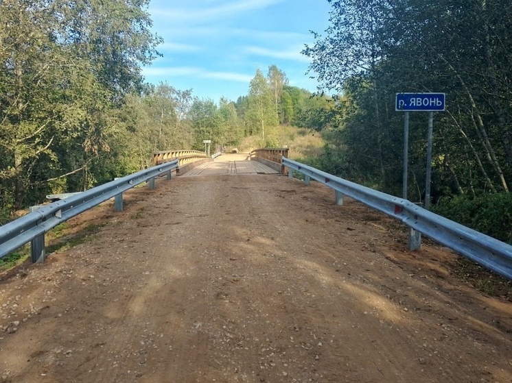 В Новгородской области отремонтировали мост через реку Явонь