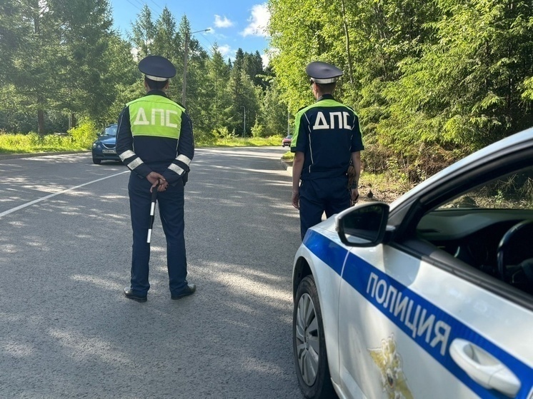 Госавтоинспекция Петрозаводска ищет грубо нарушившего правила лихача