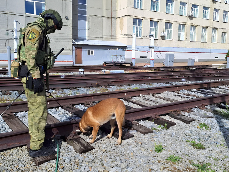 Силовики уничтожили условных террористов во время учений в Забайкалье