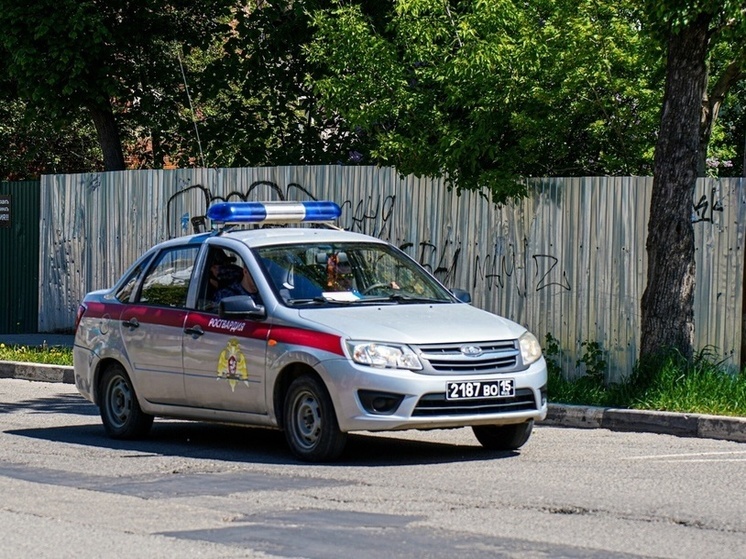 Более 250 раз за неделю выезжали тульские росгвардейцы по сигналу тревоги