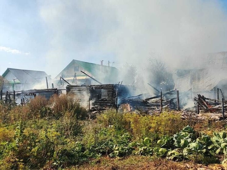 Из-за детской шалости в Башкирии сгорели два дома и шесть надворных построек