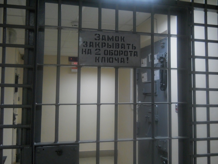 Застолье ранее судимых мужчин в Череповце закончилось смертью для одного из них