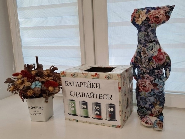 Северянам рассказали, куда можно сдать использованные батарейки