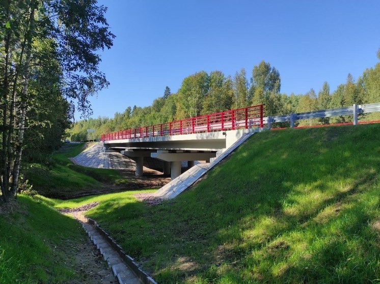 Отремонтированные мосты через Кузру и Святуху открыли для движения