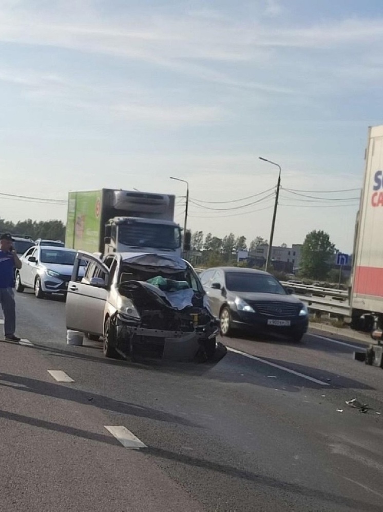 В Ярославле произошло ДТП с лосем