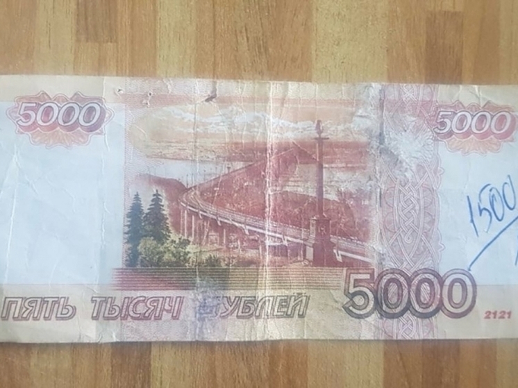 В Омской области лжегазификаторы выманили у пенсионерки 16,5 тысяч рублей