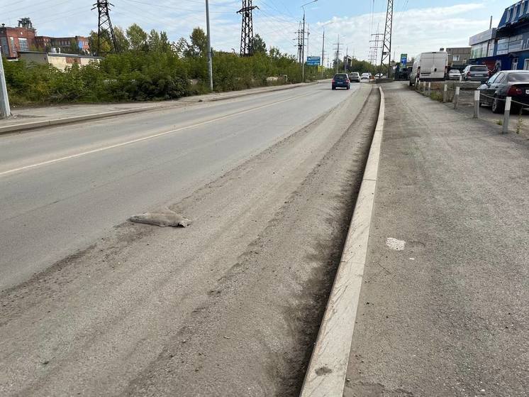 Томичи жалуются на уборку улиц в областной столице