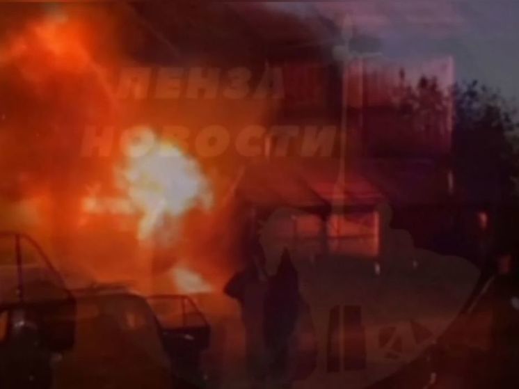 В Колышлейском районе огонь уничтожил машину и гараж