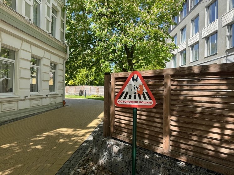 Жителям рассказали, как пройдет День города в Зеленоградске