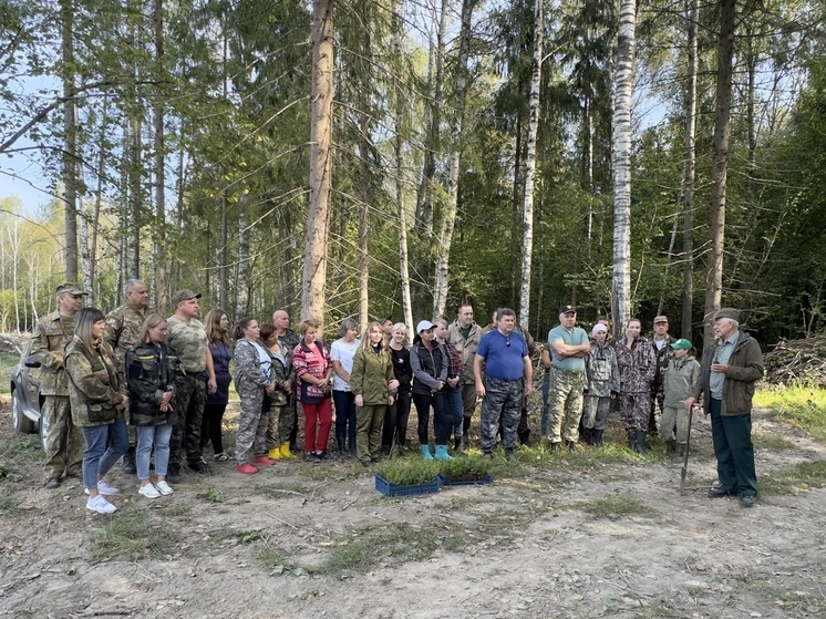 В Глинковском районе посадили два гектара леса