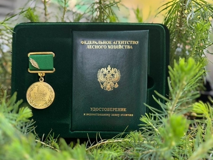 Завтра смоленские лесничие и сотрудники лесоохраны отметят свой профессиональный праздник