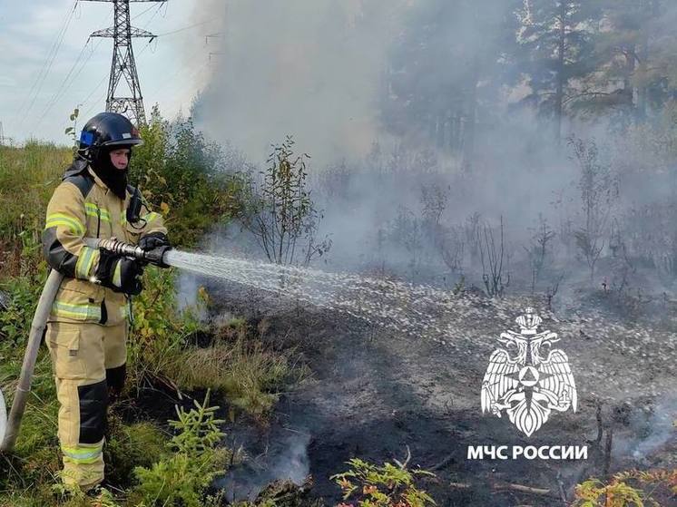 Площадь пожара на выезде из Петрозаводска составила 400 кв. м.