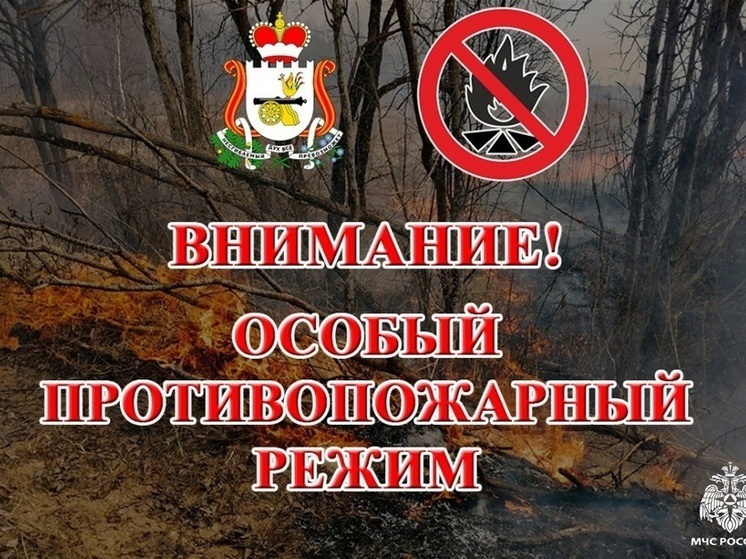 В Смоленской области установлен чрезвычайный уровень пожарной опасности