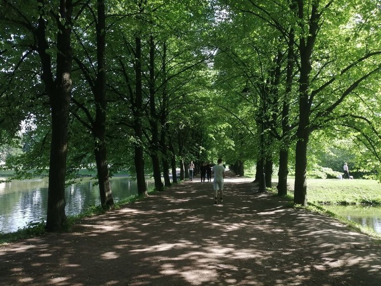 Неизвестные украли скульптуру лисенка в поселке под Петербургом