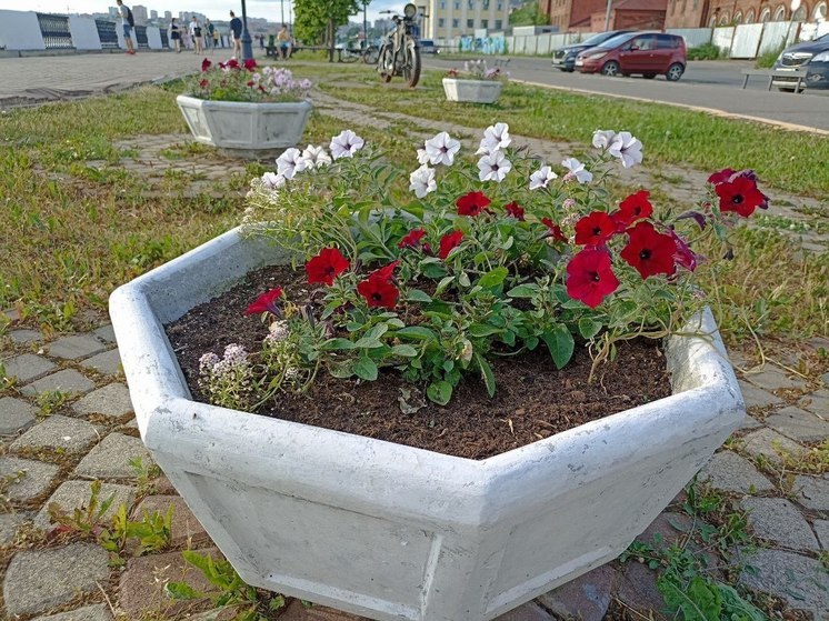 Сухо и солнечно: новгородцы продолжают наслаждаться летней погодой